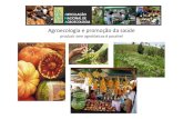 Agroecologia e promoção da saúde...Um olhar agroecológico Área plantada (cultivos temporários e permanentes) –68 milhões hectares (ha) Pastagens –180 milhões ha Brasil: