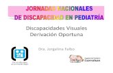 Discapacidades Visuales Derivación Oportuna · 2016. 2. 3. · CONCLUSION Es importante el trabajo coordinado de oftalmólogos y pediatras para detectar en forma temprana cualquier