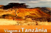 Nairobi Arusha Ngorongoro Serengeti...Tel/Fax.: (55 11) 3214-2100 R. da Consolação, 37 - 7º Andar - Cj.701 São Paulo/SP - Brasil - CEP 01301-000 OBSERVAÇÕES: É de total responsabilidade