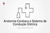 Anatomia Cardíaca e Sistema de Condução Elétricaitarget.com.br/newclients/sobrachome.org/home/wp-content... · 2019. 8. 30. · Anatomia Cardíaca Órgão oco Formato de Cone