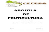 APOSTILA DE FRUTICULTURA - Ceepro · 2020. 2. 15. · frutas de alta qualidade para o Brasil, Europa e EUA. Pela diversidade de climas e solos, o Brasil apresenta condições ecológicas