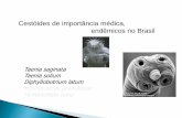 Cestóides de importância médica, endêmicos no Brasil