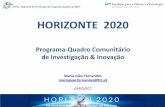 HORIZONTE 2020 - ANI