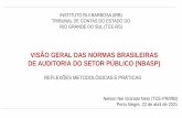 VISÃO GERAL DAS NORMAS BRASILEIRAS DE AUDITORIA DO