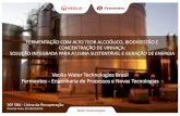 Veolia Water Technologies Brasil Fermentec - Engenharia de ...