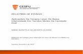 RELATÓRIO DE ESTÁGIO Aplicações Da Terapia Laser De Baixa ...