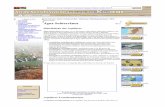 Água Subterrânea - River Awareness Kit