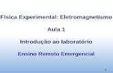 Física Experimental: Eletromagnetismo Aula 1 Introdução ao ...
