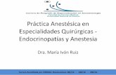 Práctica Anestésica en Especialidades Quirúrgicas ...