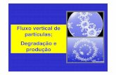 Fluxo vertical de partículas; Degradação e produção
