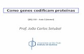 Prof. João Carlos Setubal - Instituto de Química- USP