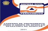 Anexo Caderno de Treinamento (13214659) SEI ... - gov.br