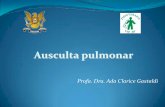 Ausculta pulmonar - University of São Paulo