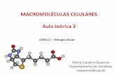 MACROMOLÉCULAS CELULARES Aula teórica 3 - Moodle USP: e ...