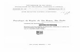 UNIVERSIDADE DE SAO PAULO BOLETIM N. 159 MINERALOGIA …