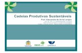 Cadeias’Produtivas’Sustentáveis - IV Encontro de ...