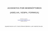 ACIDENTES POR HEMINÓPTEROS (ABELHA, VESPA, FORMIGA)