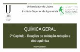 Universidade de Lisboa Instituto Superior de Agronomia
