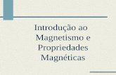 Introdução ao Magnetismo e Propriedades Magnéticas