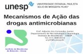 Mecanismos de Ação dos Antimicrobianos