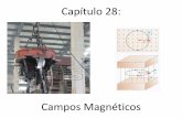 Campos Magnéticos - UTFPR