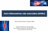 Anti-inflamatórios não esteroides (AINEs)