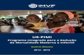 Programa Integrado para a Redução - Home PT | IMVF