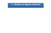 1 - Noções de álgebra matricial