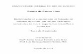 Renata de Barros Lima - UFRJ/EQ/EPQB - Engenharia de ...