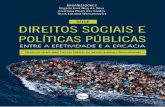 Los Derechos Sociales y sus Garantías: Elementos para una ...