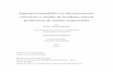 Ingeniería metabólica en Saccharomyces cerevisiae y ...