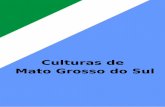 Culturas de Mato Grosso do Sul - Livros Digitais