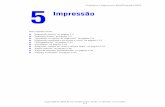 Guia do Usuário da Copiadora e Impressora Xerox WorkCentre ...