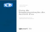Guia de Implementação do ArcGIS Pro