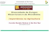 Diversidade de Fungos Micorrízicos e da Microbiota
