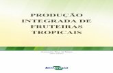 GEBLER Producao-integrada-de-fruteiras-tropicais 2012