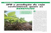 PLANTIO DIRETO SPD e produção de soja sustentável: quais ...