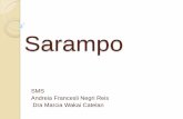 Sarampo - Educative