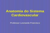 Anatomia do Sistema Cardiovascular - Webnode