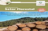 INFORMATIVO Setor Florestal - CEPEA-Esalq/USP