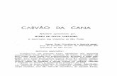 CARVÃO DA CANA