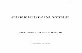 CURRICULUM VITAE - CMAA
