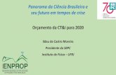 Panorama da Ciência Brasileira e seu futuro em tempos de crise