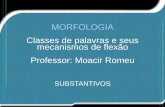 MORFOLOGIA Classes de palavras e seus mecanismos de …