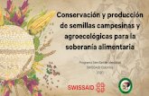 Conservación y producción de semillas campesinas y ...