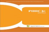 PIBIC Jr - ifce.edu.br