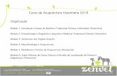 Curso de Acupunctura Veterinária 2018 - OMV