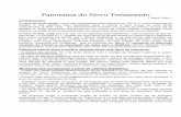 Panorama do Novo Testamento - icnvpaciencia.org.br