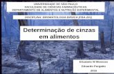 Determinação de cinzas em alimentos - University of São ...