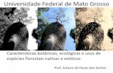 Universidade Federal de Mato Grosso - Embrapa